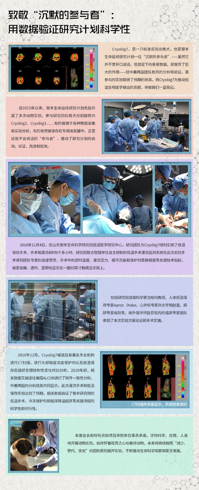 狗实验（基金会网站）.jpg