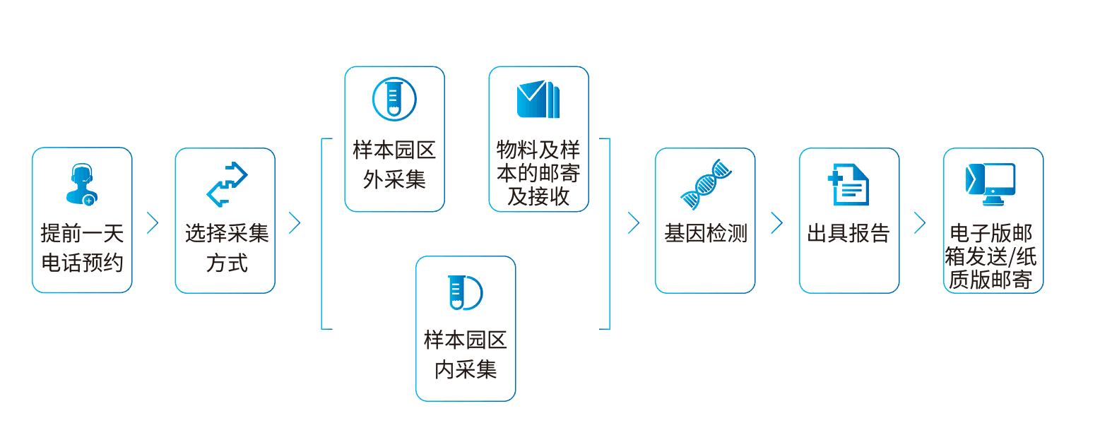 基因检测流程图.png