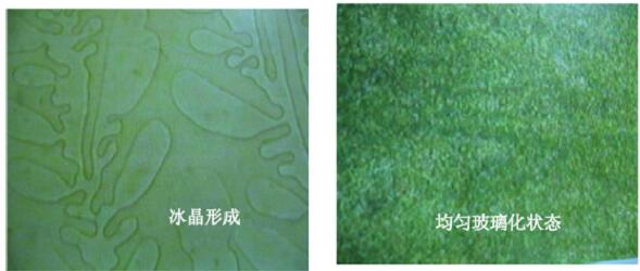 QQ截图20210127090729.jpg